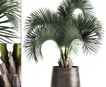 Modern Ground Green Plant Potted Plants-ID:865051989