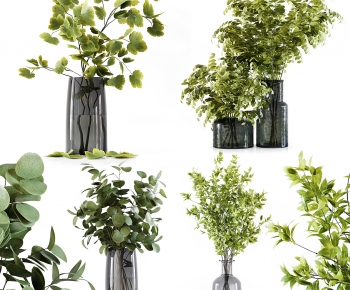 Modern Aquatic Green Plant-ID:916287903