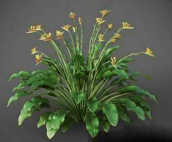 Modern Flowers And Grass-ID:558104046