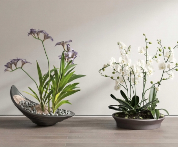 Modern Bonsai-ID:121083022