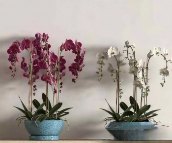 New Chinese Style Potted Green Plant-ID:232573997