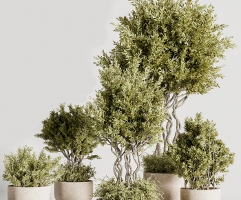 Modern Ground Green Plant Potted Plants-ID:104329626