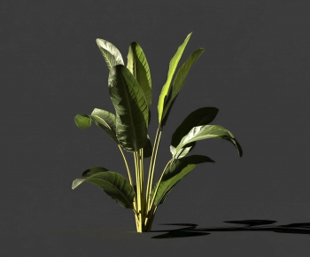 Modern Flowers And Grass-ID:700819565