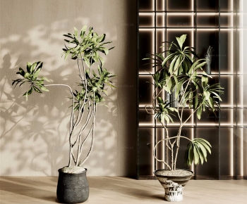 Modern Ground Green Plant Potted Plants-ID:185600041
