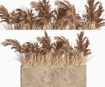 Modern Flower Bed, Flower Bowl, Flower Box-ID:962383038