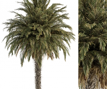 Modern Tree-ID:446391117