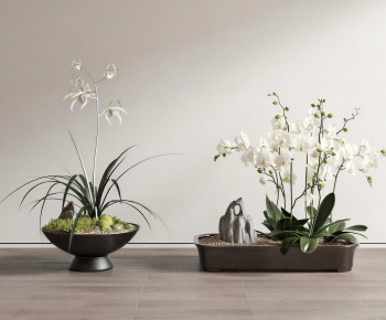 Modern Bonsai-ID:974864965