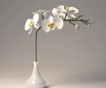 Modern Flower Arrangement-ID:170202024