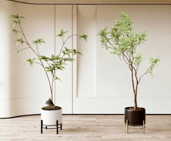 Modern Ground Green Plant Potted Plants-ID:957983978