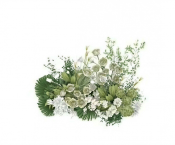 Modern Flowers And Grass-ID:215478902