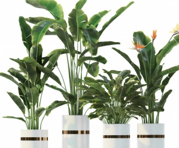 Modern Ground Green Plant Potted Plants-ID:807224049