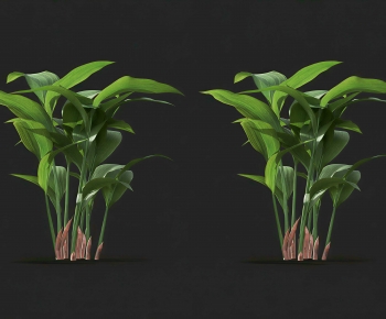 Modern Flowers And Grass-ID:679027087