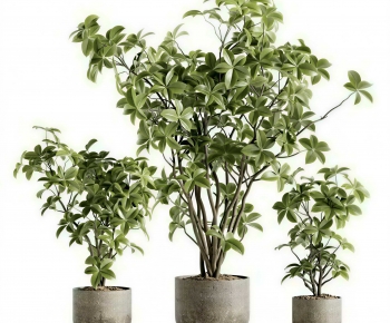 Modern Ground Green Plant Potted Plants-ID:281600955