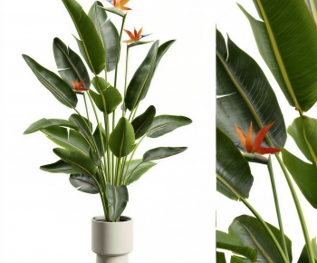 Modern Ground Green Plant Potted Plants-ID:527601967