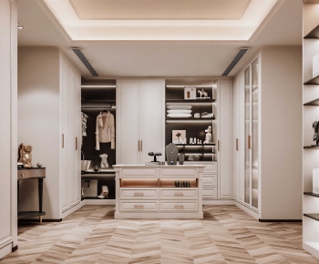 Modern Clothes Storage Area-ID:784800191