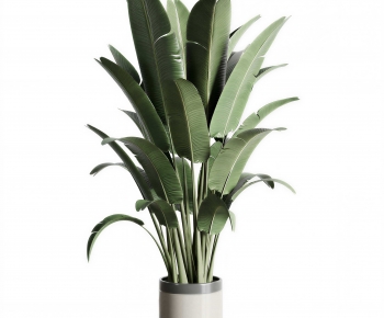 Modern Ground Green Plant Potted Plants-ID:956334112