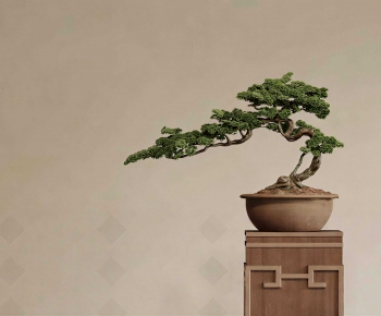 New Chinese Style Bonsai-ID:553754096