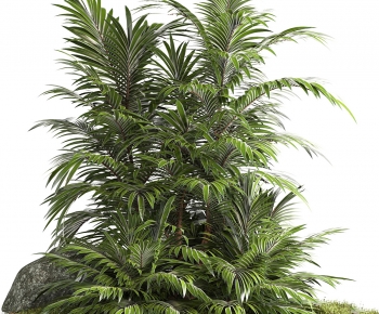 Modern Plant Pile-ID:252799999