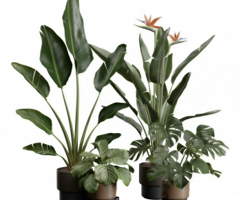 Modern Ground Green Plant Potted Plants-ID:625900031
