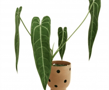 Modern Potted Green Plant-ID:860022077