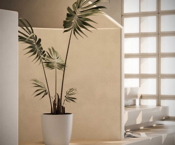 Modern Ground Green Plant Potted Plants-ID:499263051