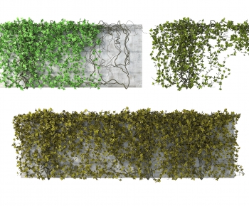 Modern Vine-ID:913939956