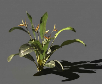 Modern Flowers And Grass-ID:124589924