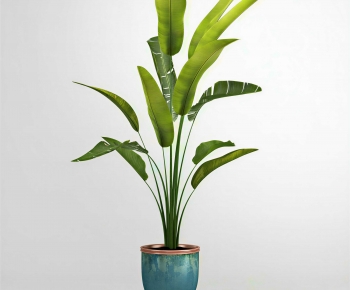 Modern Ground Green Plant Potted Plants-ID:224737881