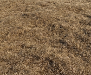 Modern The Grass-ID:674473059