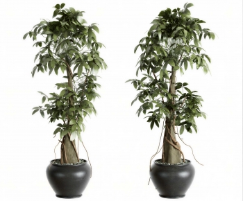 Modern Ground Green Plant Potted Plants-ID:565116885