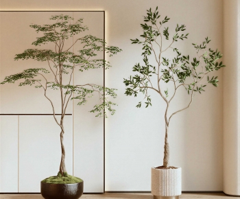 Modern Ground Green Plant Potted Plants-ID:632328031