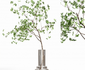 Modern Aquatic Green Plant-ID:110398058