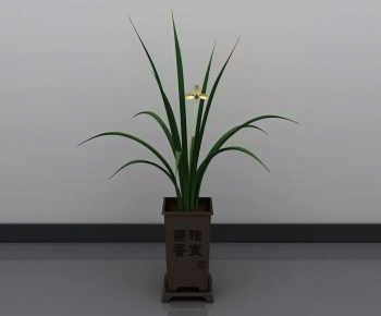 Modern Potted Green Plant-ID:443959296