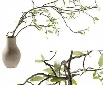 Modern Aquatic Green Plant-ID:324125052