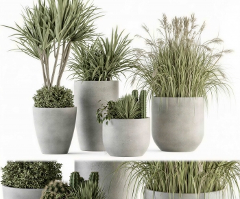 Modern Potted Green Plant-ID:705019952