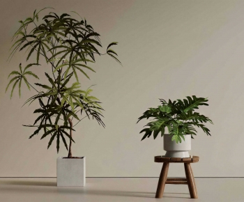 Modern Ground Green Plant Potted Plants-ID:270967961