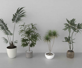 Modern Ground Green Plant Potted Plants-ID:756345996