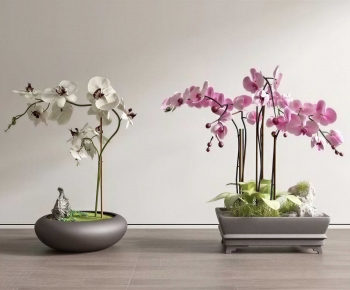 New Chinese Style Bonsai-ID:919421913