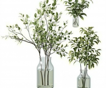 Modern Aquatic Green Plant-ID:788944963