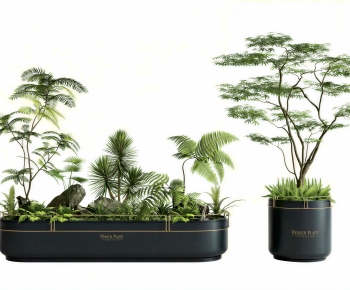 Modern Flower Bed, Flower Bowl, Flower Box-ID:172210932