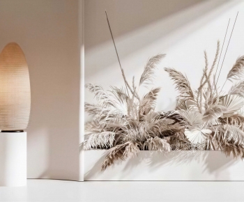 Wabi-sabi Style Plant Landscaping-ID:938570021