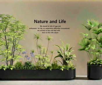 Modern Flower Bed, Flower Bowl, Flower Box-ID:430732971