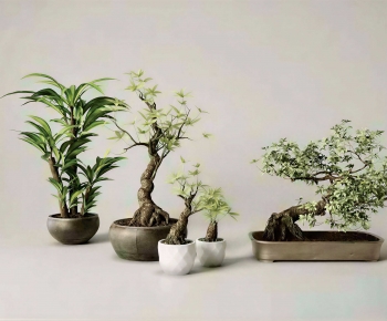 Modern Potted Green Plant-ID:888215079