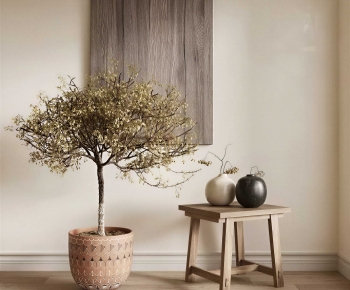 Wabi-sabi Style Ground Green Plant Potted Plants-ID:351459983