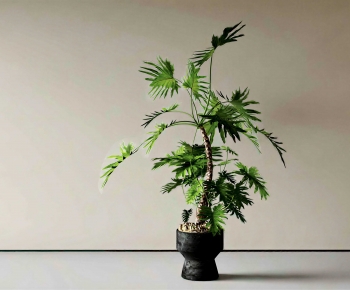 Modern Ground Green Plant Potted Plants-ID:402470114