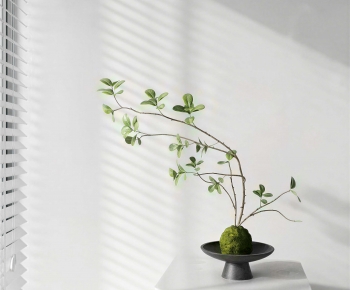 Modern Desktop Plant-ID:359288939
