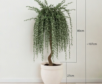 Modern Ground Green Plant Potted Plants-ID:816290418