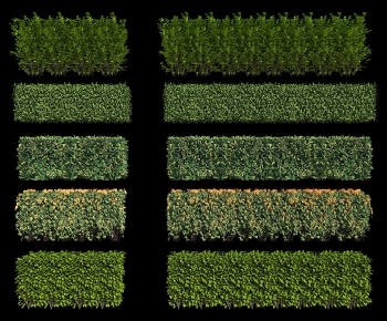 Modern Shrubbery-ID:340189936