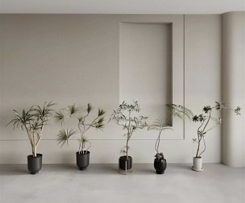 Modern Ground Green Plant Potted Plants-ID:602643013