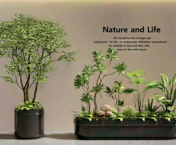 Modern Flower Bed, Flower Bowl, Flower Box-ID:883233073